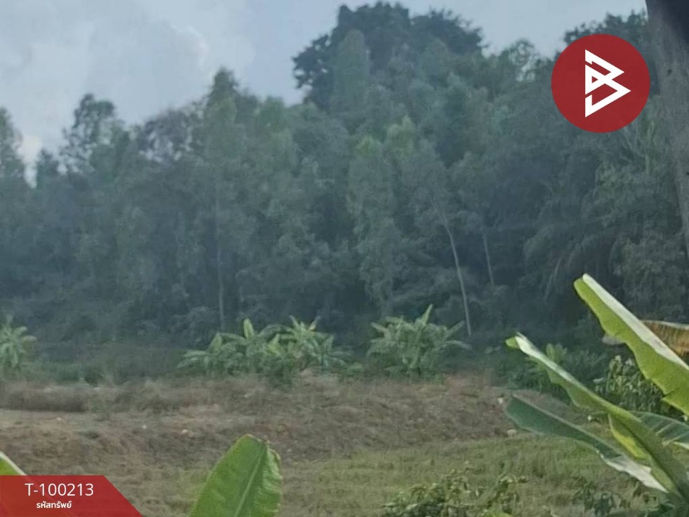 For SaleLandChiang Rai : Urgent sale of vacant land, area 2 rai 20 sq.wa, Thoeng, Chiang Rai