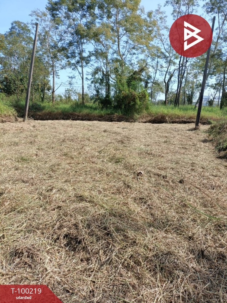 For SaleLandPathum Thani,Rangsit, Thammasat : Land for sale, area 66 square wah, Thanyaburi District, Pathum Thani