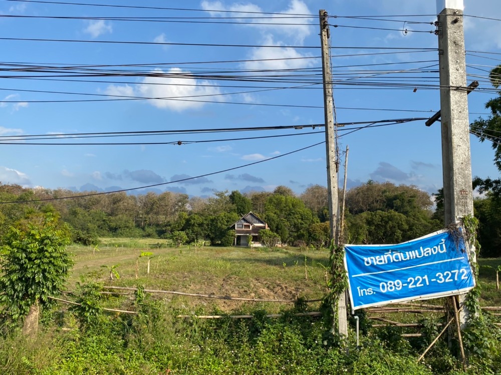For SaleLandChiang Rai : ✅ 20 rai land on Phahon Yothin Road, near Mae Fah Luang University 🔥 Ready to provide loan services 💥