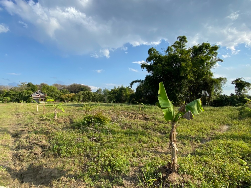 ขายที่ดินเชียงราย : ที่ดินเปล่า ใกล้มหาวิทยาลัยแม่ฟ้าหลวง