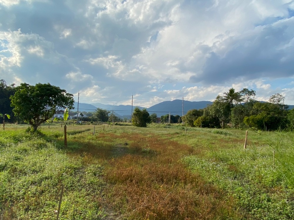 ขายที่ดินเชียงราย : ที่ดินเปล่า ใกล้มหาวิทยาลัยแม่ฟ้าหลวง