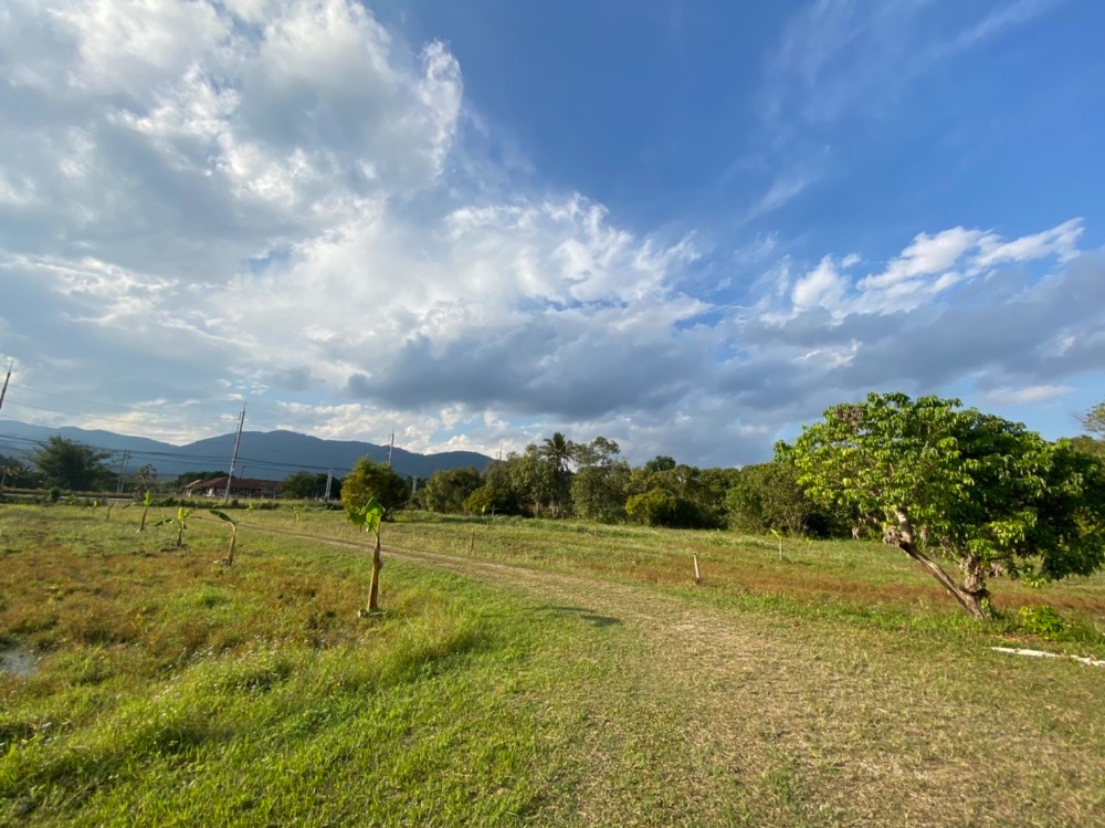 ขายที่ดินเชียงราย : ที่ดินเปล่า ใกล้มหาวิทยาลัยแม่ฟ้าหลวง