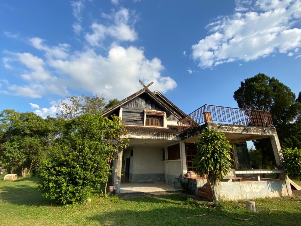 ขายที่ดินเชียงราย : ที่ดินเปล่า ใกล้มหาวิทยาลัยแม่ฟ้าหลวง