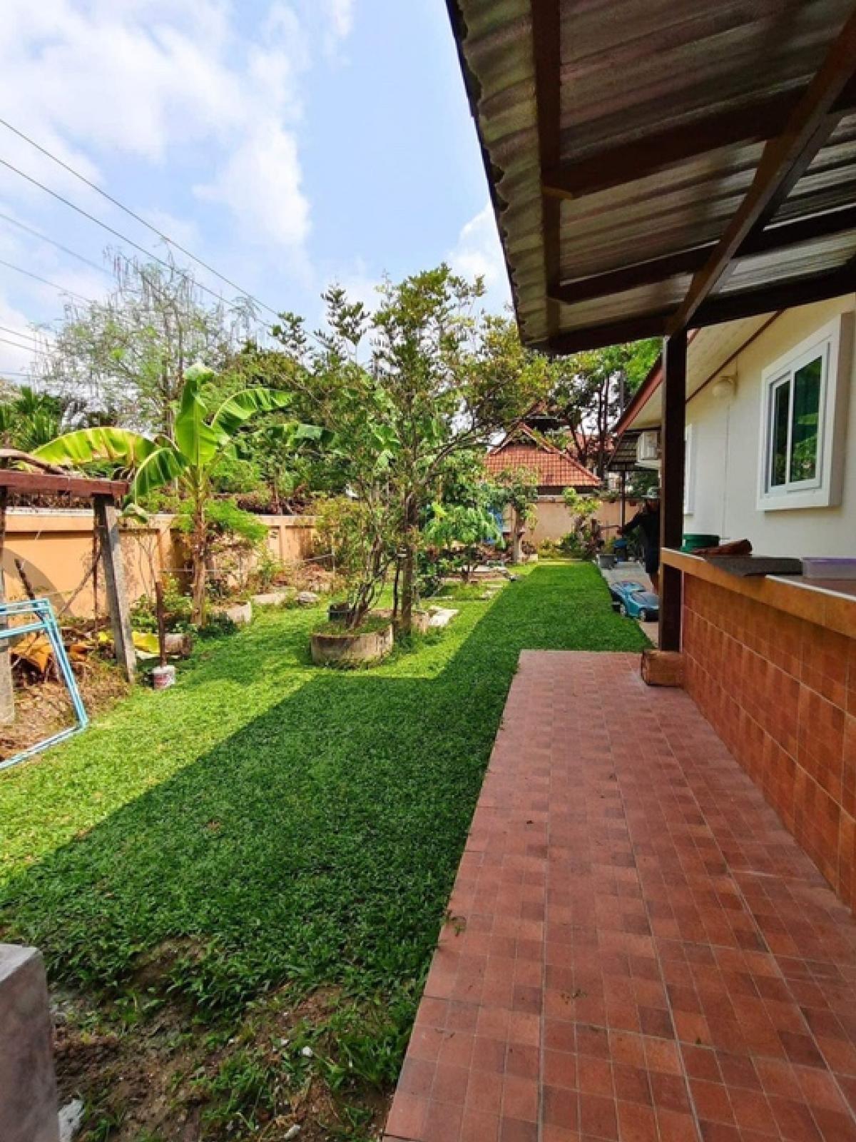 ขายบ้านพัทยา บางแสน ชลบุรี สัตหีบ : 📢👇ขายบ้าน พื้นที่กว้าง พร้อมสระว่ายน้ำส่วนตัว  โซล่าเซลล์ 3เฟส 10กิโลวัตต์  พร้อมกิจการโรงแรมเเมว(ไม่ต้องการสามารถยกตู้ออกได้ ปรับเป็นกิจการอื่น หรือทำอย่างอื่นได้)  อยู่บนเขา น้ำไม่ท่วม ไม่แออัด เดินทางสะดวก ซอย สยามคันทรีคลับ