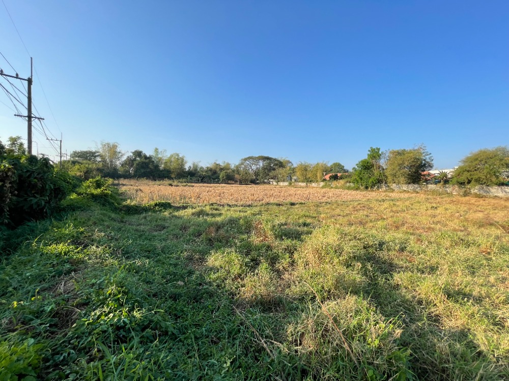 For SaleLandSakon Nakhon : For sale: vacant land 5-3-89 rai, Sakon Nakhon, beautiful plot, next to Sakon Nakhon-Nakhon Kaen Road, next to Global House.