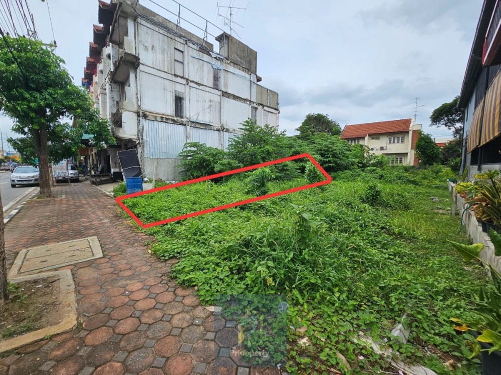 ขายที่ดินปทุมธานี รังสิต ธรรมศาสตร์ : ขาย ที่ดินเปล่า 21 ตรว. ติด ถ.ลำลูกกา ห่าง ถ.พหลโยธินเพียง 1.8 กม.