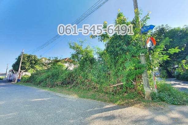 ขายที่ดินเกษตร นวมินทร์ ลาดปลาเค้า : ขาย ที่ดิน 104 ตรว. ซอย นวมินทร์ 42 แยก 8-1 แปลงหัวมุม สวย ทำเลดี เหมาะสร้างบ้าน โฮมออฟฟิศ โกดัง
