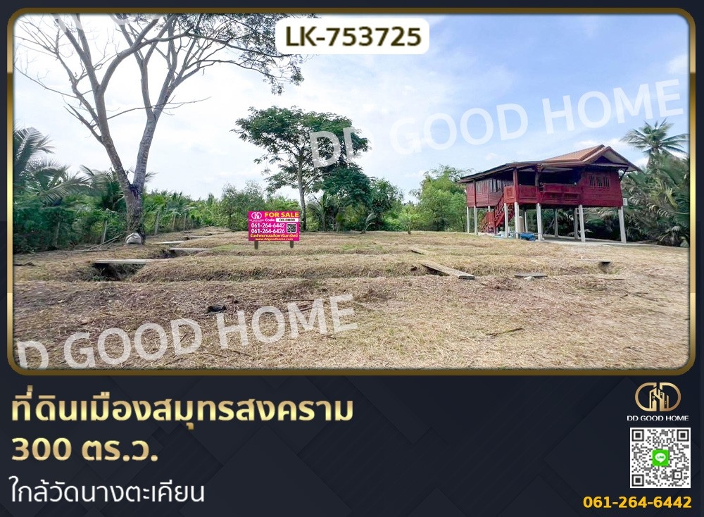 ขายที่ดินสมุทรสงคราม : ที่ดินเมืองสมุทรสงคราม 300 ตร.ว. ใกล้วัดนางตะเคียน