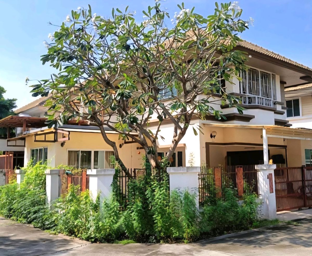 For RentHouseRama5, Ratchapruek, Bangkruai : House for rent, 2-storey detached house, corner plot, 49 sq m., Ratchaphruek-Rama 5, near Rama 5 roundabout