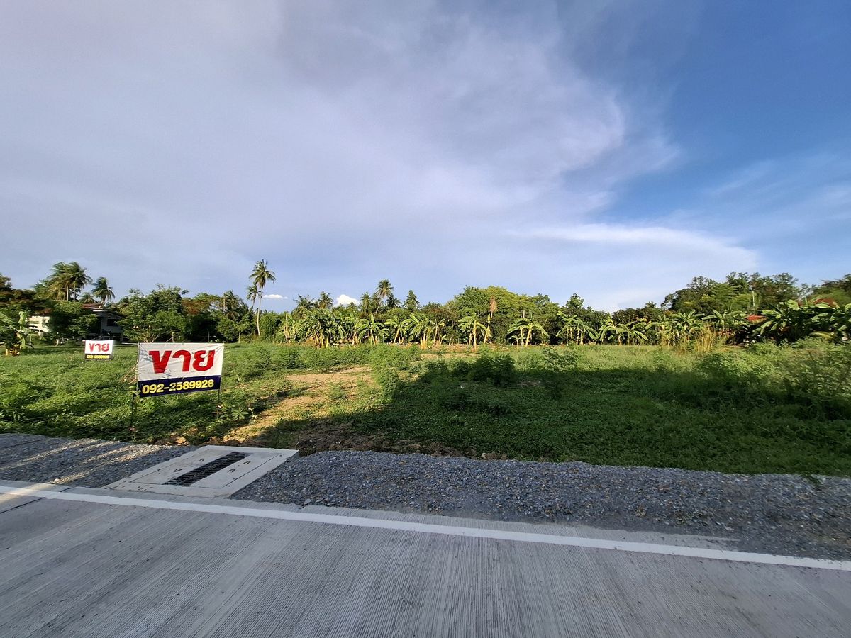 ขายที่ดินนครปฐม : ขายที่ดินสวยมาก  พุทธมณฑลสาย 7 ตัด ถนนบรมราชชนี ใกล้โรงเรียน จปร. สามพราน นครปฐม ใกล้ห้าง 400 ตรว กว้าง 40 เมตร ราคา 7.8 ล้าน