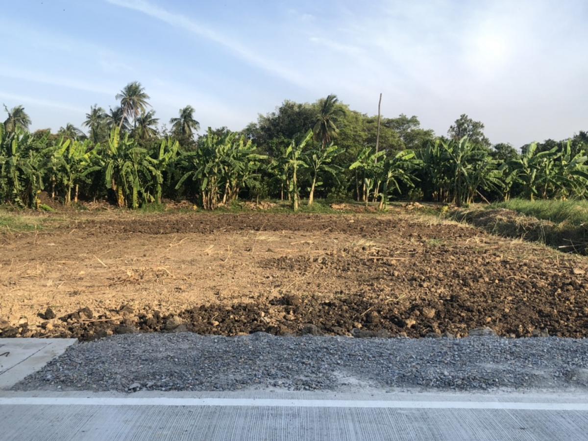 ขายที่ดินนครปฐม : ขายที่ดินสวยมาก  พุทธมณฑลสาย 7 ตัด ถนนบรมราชชนี ใกล้โรงเรียน จปร. สามพราน นครปฐม ใกล้ห้าง 400 ตรว กว้าง 40 เมตร ราคา 7.8 ล้าน