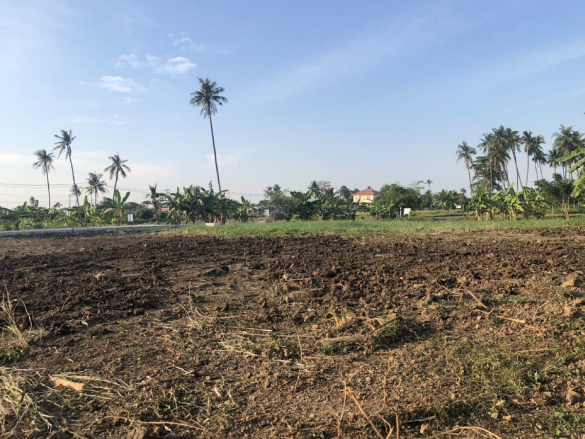 ขายที่ดินนครปฐม : ขายที่ดินสวยมาก  พุทธมณฑลสาย 7 ตัด ถนนบรมราชชนี ใกล้โรงเรียน จปร. สามพราน นครปฐม ใกล้ห้าง 400 ตรว กว้าง 40 เมตร ราคา 7.8 ล้าน