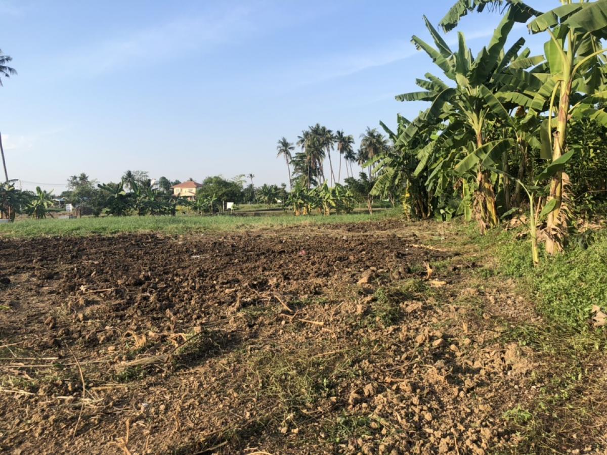 ขายที่ดินนครปฐม : ขายที่ดินสวยมาก  พุทธมณฑลสาย 7 ตัด ถนนบรมราชชนี ใกล้โรงเรียน จปร. สามพราน นครปฐม ใกล้ห้าง 400 ตรว กว้าง 40 เมตร ราคา 7.8 ล้าน