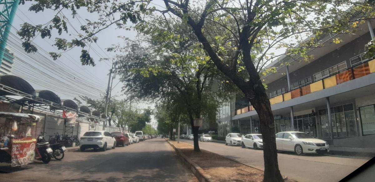 ให้เช่าทาวน์โฮมเกษตร นวมินทร์ ลาดปลาเค้า : Townhome 3 ชั้น หมู่บ้าน ธนสิน 9  ให้เช่า 3 นอน 3น้ำ หมู่บ้านใกล้ ถนนใหญ่ ถนนนวมินทร์ ซอย นวมิยทร์ 86 ติดห้าง โลตัส สุขาภิบาล 1  หมู่บ้านอยู่ตรงข้าม ห้าง ไทวัสดุ  ใกล้ รพ.พญาไท นวมินทร  ซอยใหญ่ ไม่เปลี่ยว ปากซอย มี ร้าน 711 