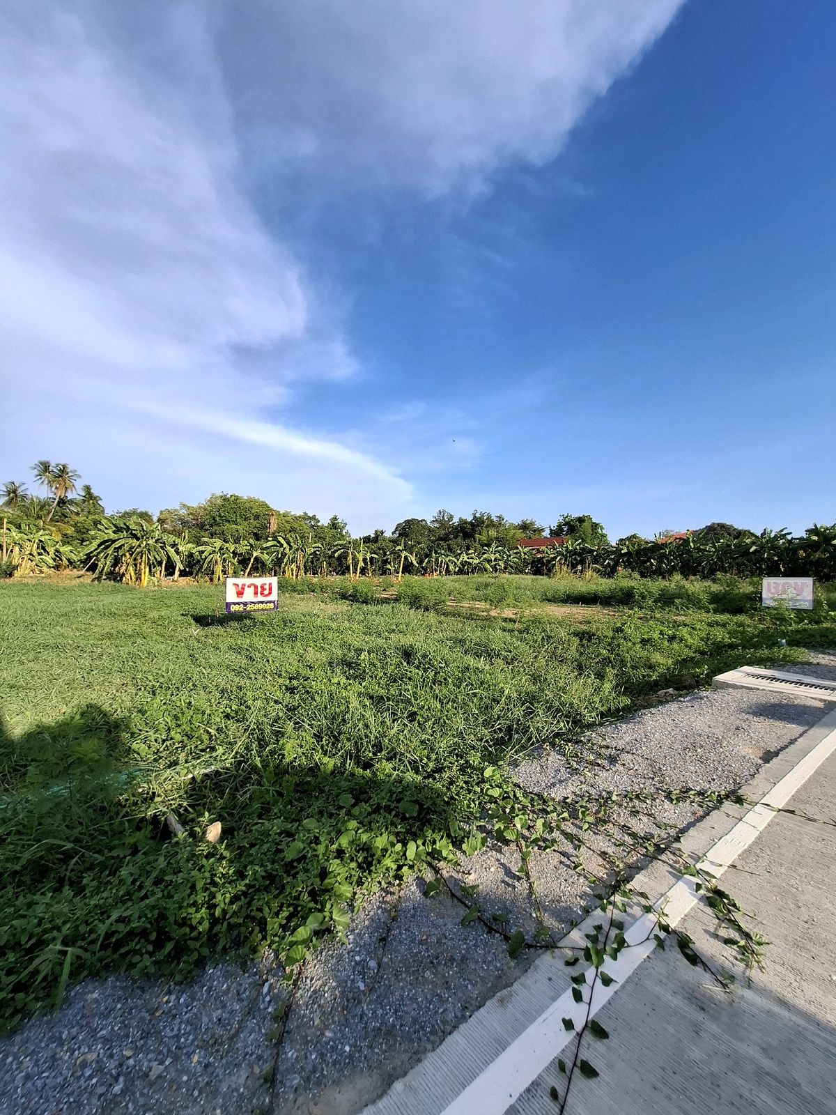 For SaleLandNakhon Pathom : Land for sale, Phutthamonthon Sai 7, intersection with Borommaratchachonnani, 400 sq m, width 40 m, price 7.8 million.