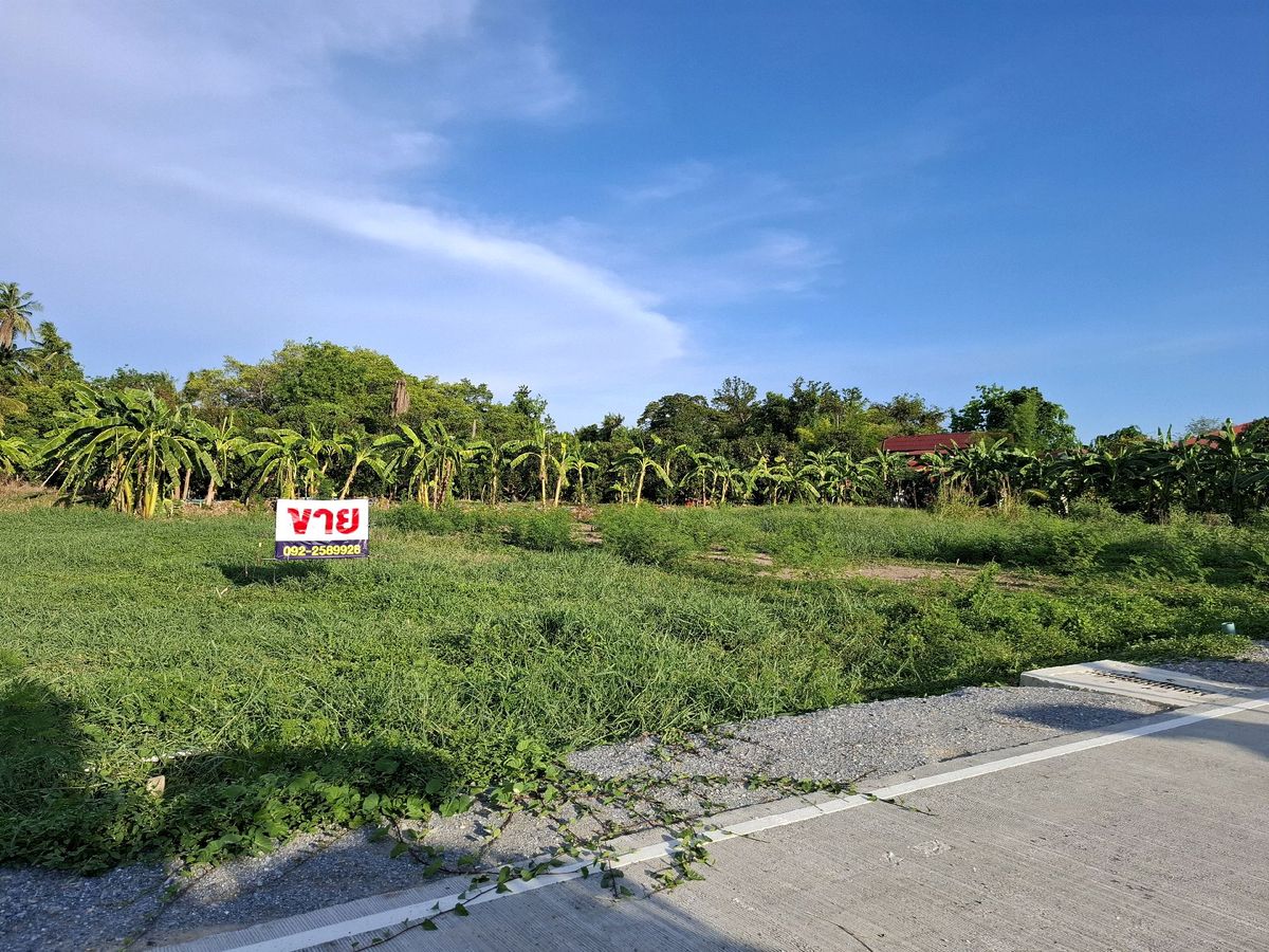 ขายที่ดินนครปฐม : ขายที่ดินสวยมาก  พุทธมณฑลสาย 7 ตัด ถนนบรมราชชนี ใกล้โรงเรียน จปร. สามพราน นครปฐม ใกล้ห้าง 400 ตรว กว้าง 40 เมตร ราคา 7.8 ล้าน