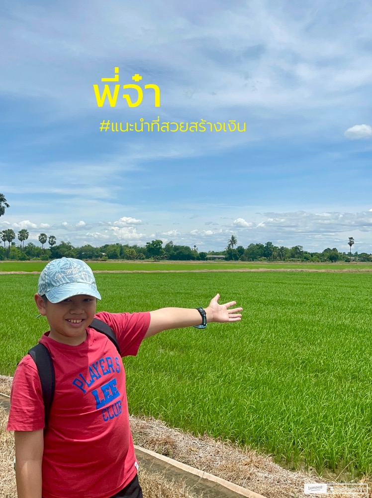 ขายที่ดินอ่างทอง : ขายที่ดินสามโก้  อ่างทอง 250,000 บาท|ไร่