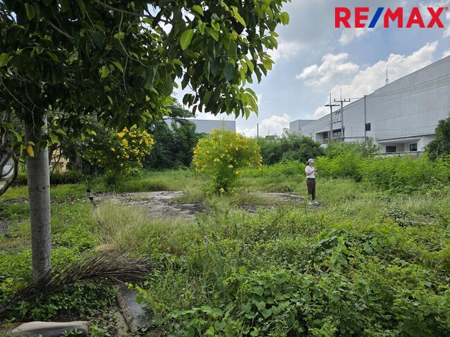 ขายที่ดินฉะเชิงเทรา : ขายถูกที่สุด ที่ดินติดถนนเลี่ยงเมืองฉะเชิงเทรา (ทล.365) เชื่อมต่อเขตเศรษฐกิจ EEC พร้อมพัฒนาเพื่อธุรกิจหลากหลาย หน้ากว้าง 112.63 เมตร พร้อมพัฒนาทันที!