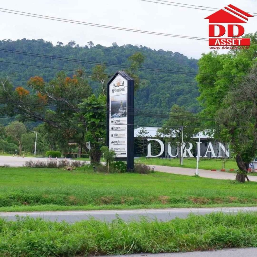 For SaleLandChanthaburi : Land for sale with fruit orchard, Makham District, Chanthaburi, only 900 meters from the main road, Chanthaburi-Sa Kaeo, code: L8028