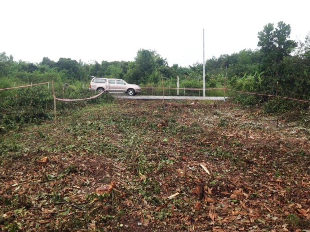 ขายที่ดินหาดใหญ่ สงขลา : ขายที่ดินด่วน !! 1 งาน ใกล้สนามบินหาดใหญ่ เดินทางเข้าออกสะดวก