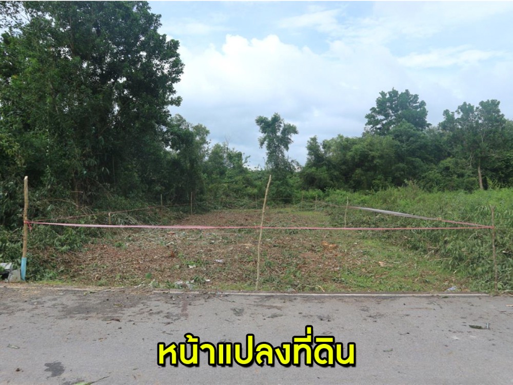 ขายที่ดินหาดใหญ่ สงขลา : ขายที่ดินด่วน !! 1 งาน ใกล้สนามบินหาดใหญ่ เดินทางเข้าออกสะดวก