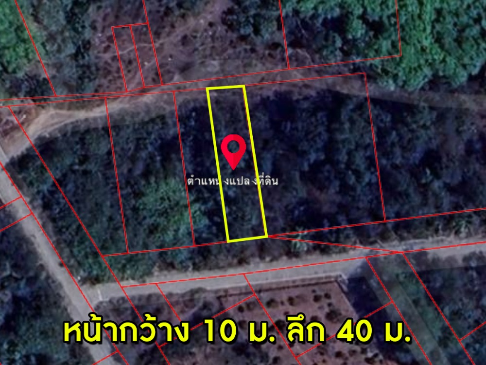 ขายที่ดินหาดใหญ่ สงขลา : ขายที่ดินด่วน !! 1 งาน ใกล้สนามบินหาดใหญ่ เดินทางเข้าออกสะดวก