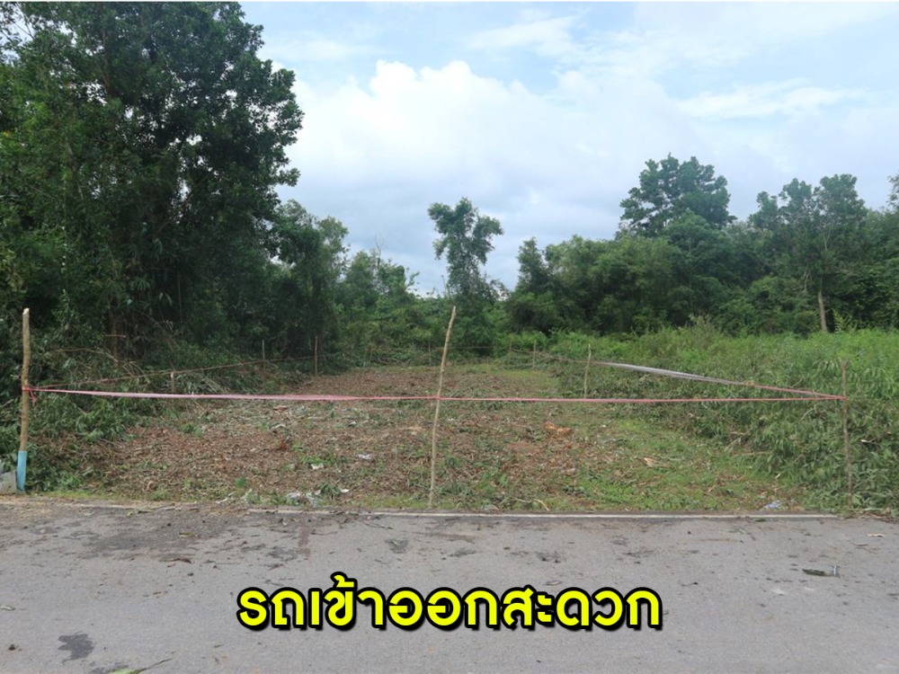 ขายที่ดินหาดใหญ่ สงขลา : ขายที่ดินด่วน !! 1 งาน ใกล้สนามบินหาดใหญ่ เดินทางเข้าออกสะดวก