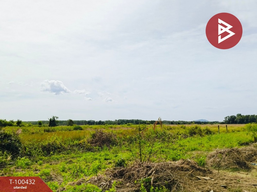 For SaleLandChanthaburi : Land for sale, area 88 rai 2 ngan 45.6 sq.wa, Bang Khacha, Chanthaburi