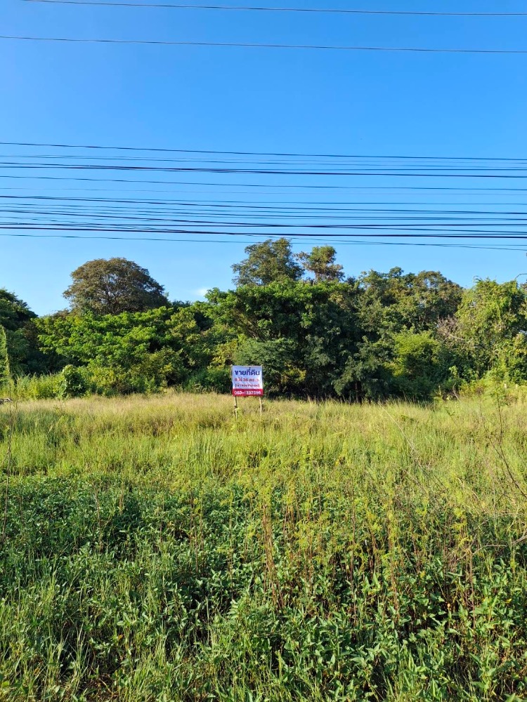 For SaleLandSakon Nakhon : Land for sale, 8 rai 35 sq m, on the main road, Sakon Nakhon, Udon