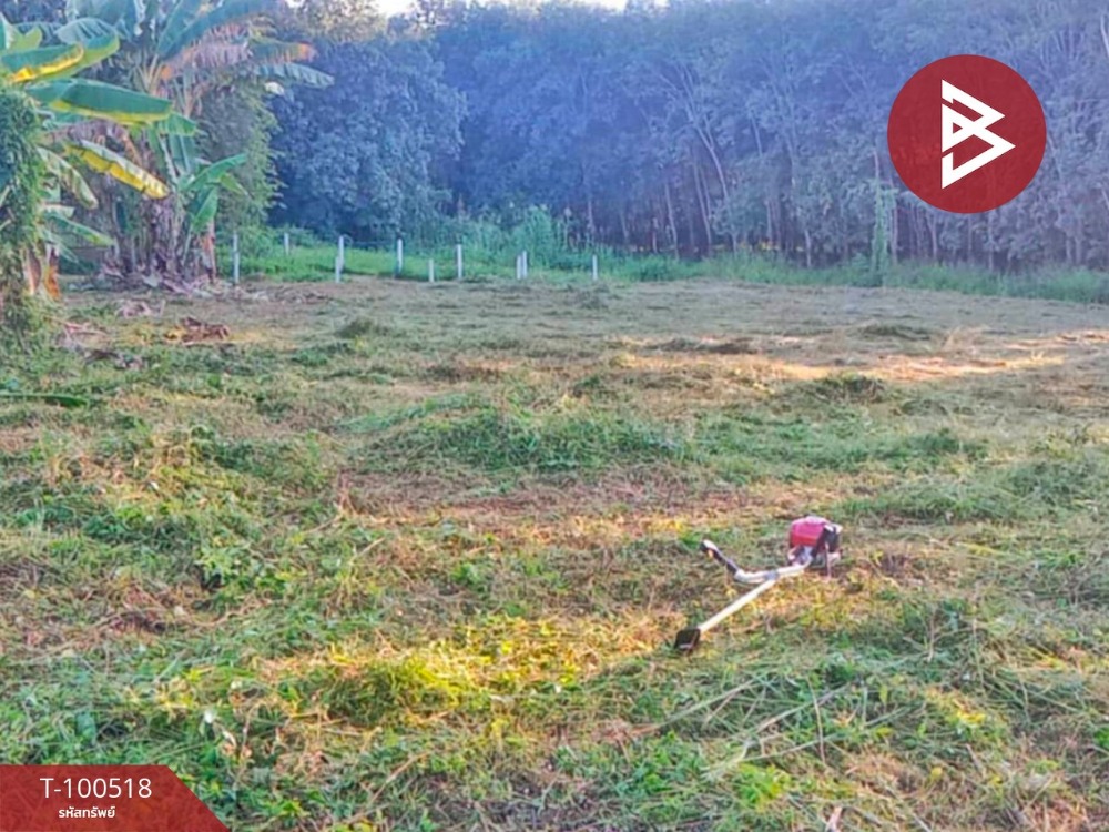 For SaleLandPhayao : Land for sale, area 1 ngan 17 square wa, Chiang Kham, Phayao
