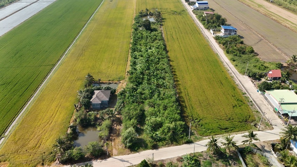 For SaleLandPathum Thani,Rangsit, Thammasat : For sale: vacant land next to the road, prime location, Lat Lum Kaeo District, Pathum Thani Province