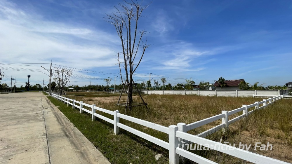 ขายที่ดินนครนายก : ขายที่ดิน แปลงสวย คลอง15 รังสิต นครนายก ไฟฟ้า-ประปา พร้อมใช้งาน บรรยากาศดี