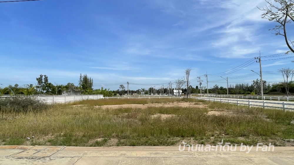 ขายที่ดินนครนายก : ขายที่ดิน แปลงสวย คลอง15 รังสิต นครนายก ไฟฟ้า-ประปา พร้อมใช้งาน บรรยากาศดี