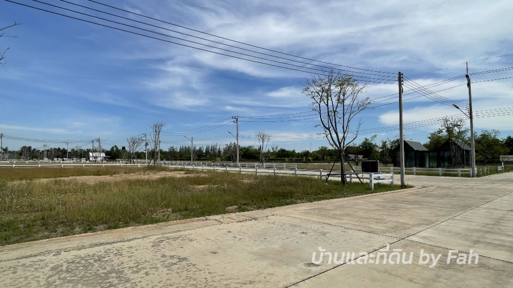 ขายที่ดินนครนายก : ขายที่ดิน แปลงสวย คลอง15 รังสิต นครนายก ไฟฟ้า-ประปา พร้อมใช้งาน บรรยากาศดี