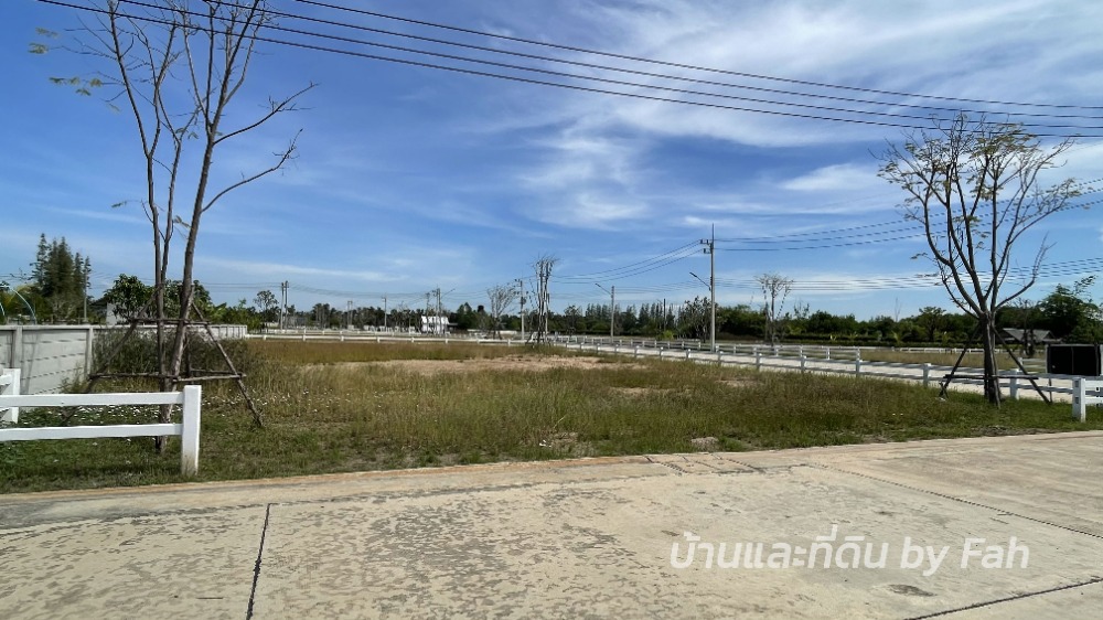 ขายที่ดินนครนายก : ขายที่ดิน แปลงสวย คลอง15 รังสิต นครนายก ไฟฟ้า-ประปา พร้อมใช้งาน บรรยากาศดี