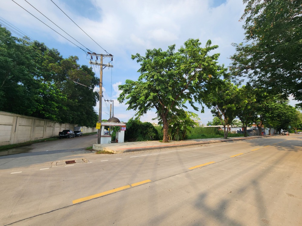 ขายที่ดินพุทธมณฑล ศาลายา : ขายที่ดิน ติดถนนสุขาภิบาลบางระมาด  หลังห้างพาซีโอ กาญจนาภิเษก เหมาะสำหรับพัฒนาโครงการจัดสรร ทำเลดี พื้นที่สวย ถนนกว้าง