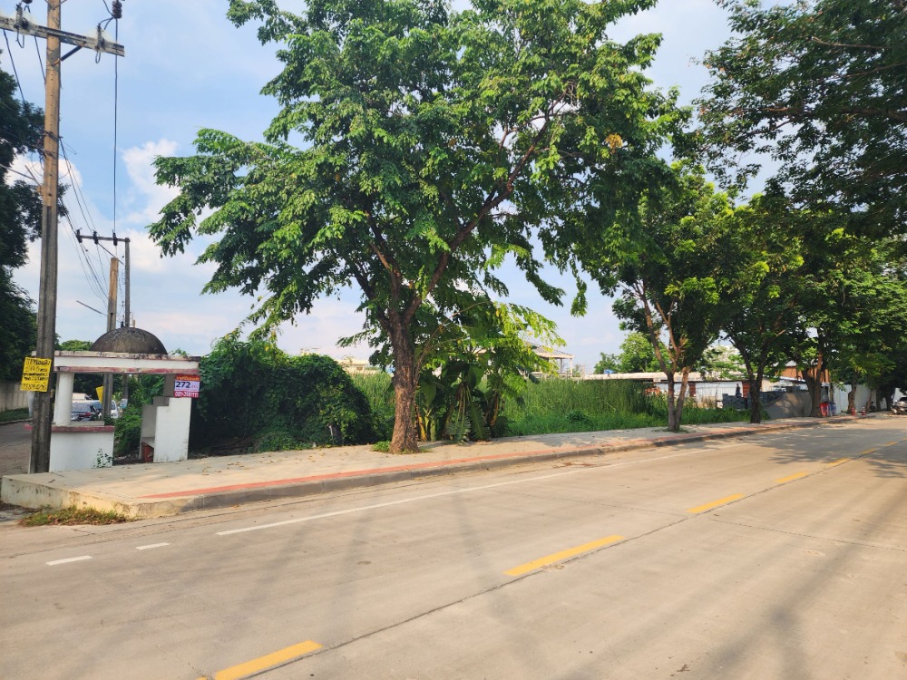 ขายที่ดินพุทธมณฑล ศาลายา : ขายที่ดิน ติดถนนสุขาภิบาลบางระมาด  หลังห้างพาซีโอ กาญจนาภิเษก เหมาะสำหรับพัฒนาโครงการจัดสรร ทำเลดี พื้นที่สวย ถนนกว้าง