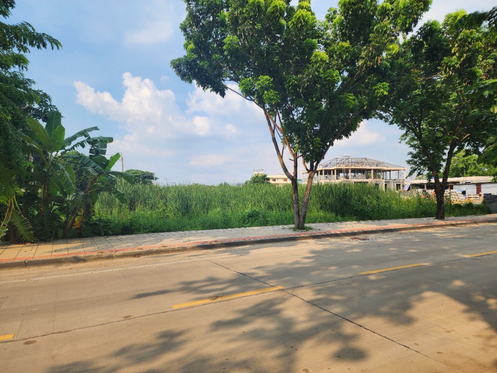 ขายที่ดินพุทธมณฑล ศาลายา : ขายที่ดิน ติดถนนสุขาภิบาลบางระมาด  หลังห้างพาซีโอ กาญจนาภิเษก เหมาะสำหรับพัฒนาโครงการจัดสรร ทำเลดี พื้นที่สวย ถนนกว้าง