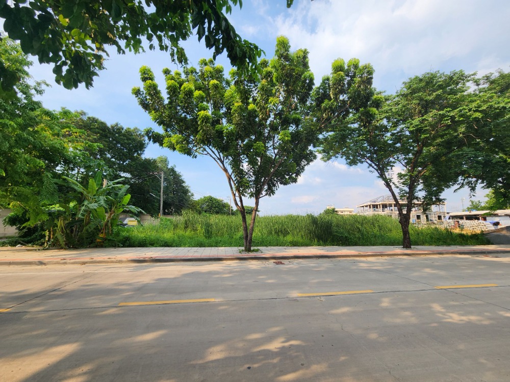 ขายที่ดินพุทธมณฑล ศาลายา : ขายที่ดิน ติดถนนสุขาภิบาลบางระมาด  หลังห้างพาซีโอ กาญจนาภิเษก เหมาะสำหรับพัฒนาโครงการจัดสรร ทำเลดี พื้นที่สวย ถนนกว้าง