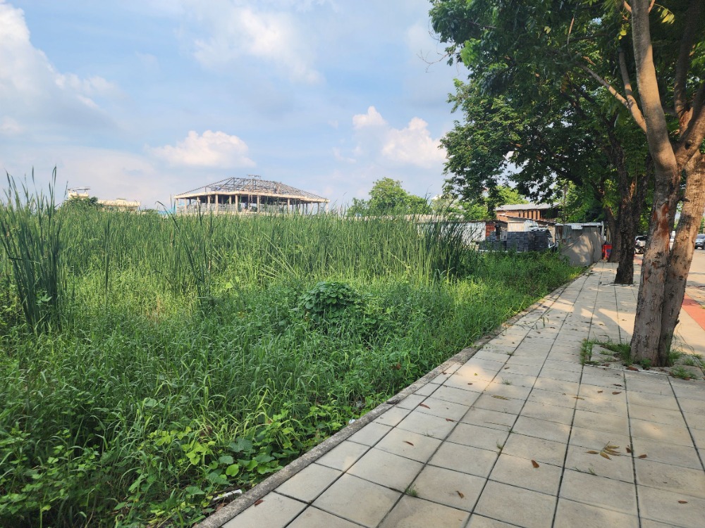 ขายที่ดินพุทธมณฑล ศาลายา : ขายที่ดิน ติดถนนสุขาภิบาลบางระมาด  หลังห้างพาซีโอ กาญจนาภิเษก เหมาะสำหรับพัฒนาโครงการจัดสรร ทำเลดี พื้นที่สวย ถนนกว้าง