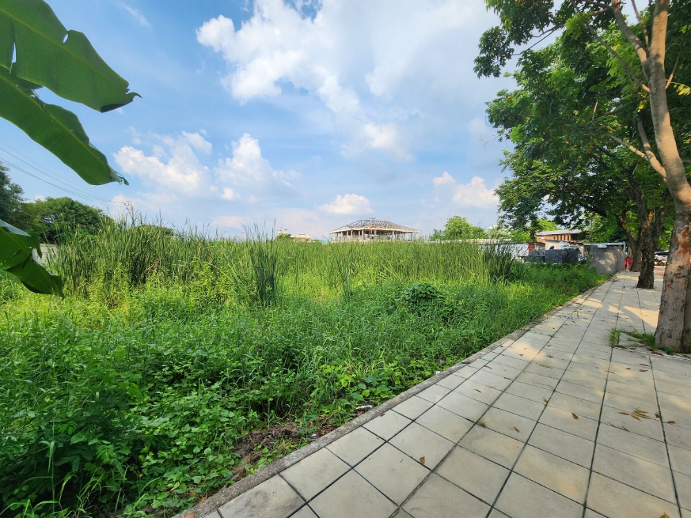 ขายที่ดินพุทธมณฑล ศาลายา : ขายที่ดิน ติดถนนสุขาภิบาลบางระมาด  หลังห้างพาซีโอ กาญจนาภิเษก เหมาะสำหรับพัฒนาโครงการจัดสรร ทำเลดี พื้นที่สวย ถนนกว้าง