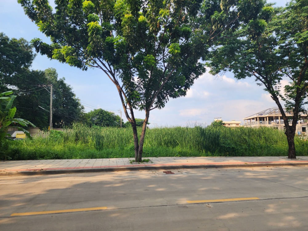 ขายที่ดินพุทธมณฑล ศาลายา : ขายที่ดิน ติดถนนสุขาภิบาลบางระมาด  หลังห้างพาซีโอ กาญจนาภิเษก เหมาะสำหรับพัฒนาโครงการจัดสรร ทำเลดี พื้นที่สวย ถนนกว้าง