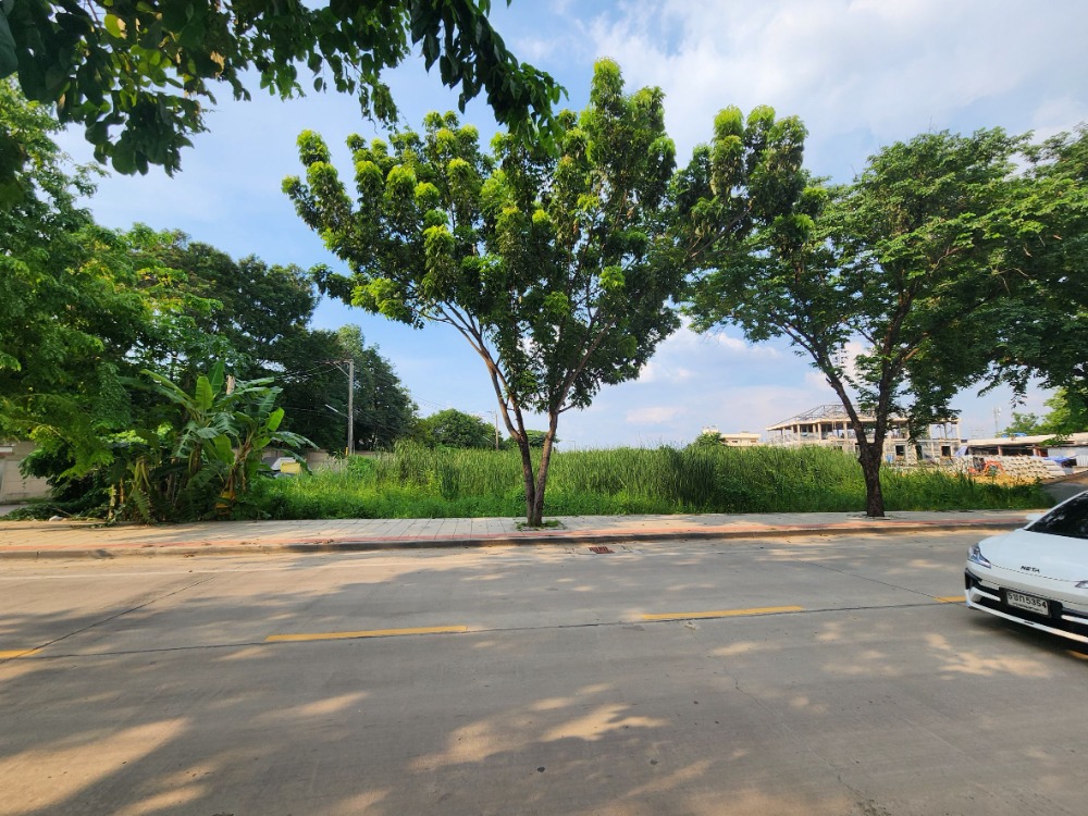 ขายที่ดินพุทธมณฑล ศาลายา : ขายที่ดิน ติดถนนสุขาภิบาลบางระมาด  หลังห้างพาซีโอ กาญจนาภิเษก เหมาะสำหรับพัฒนาโครงการจัดสรร ทำเลดี พื้นที่สวย ถนนกว้าง