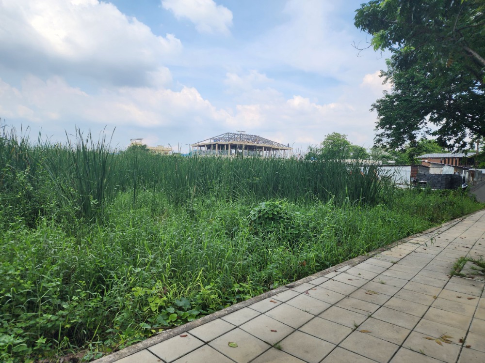 ขายที่ดินพุทธมณฑล ศาลายา : ขายที่ดิน ติดถนนสุขาภิบาลบางระมาด  หลังห้างพาซีโอ กาญจนาภิเษก เหมาะสำหรับพัฒนาโครงการจัดสรร ทำเลดี พื้นที่สวย ถนนกว้าง