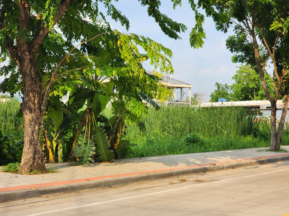 ขายที่ดินพุทธมณฑล ศาลายา : ขายที่ดิน ติดถนนสุขาภิบาลบางระมาด  หลังห้างพาซีโอ กาญจนาภิเษก เหมาะสำหรับพัฒนาโครงการจัดสรร ทำเลดี พื้นที่สวย ถนนกว้าง