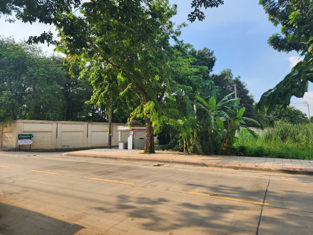 ขายที่ดินพุทธมณฑล ศาลายา : ขายที่ดิน ติดถนนสุขาภิบาลบางระมาด  หลังห้างพาซีโอ กาญจนาภิเษก เหมาะสำหรับพัฒนาโครงการจัดสรร ทำเลดี พื้นที่สวย ถนนกว้าง