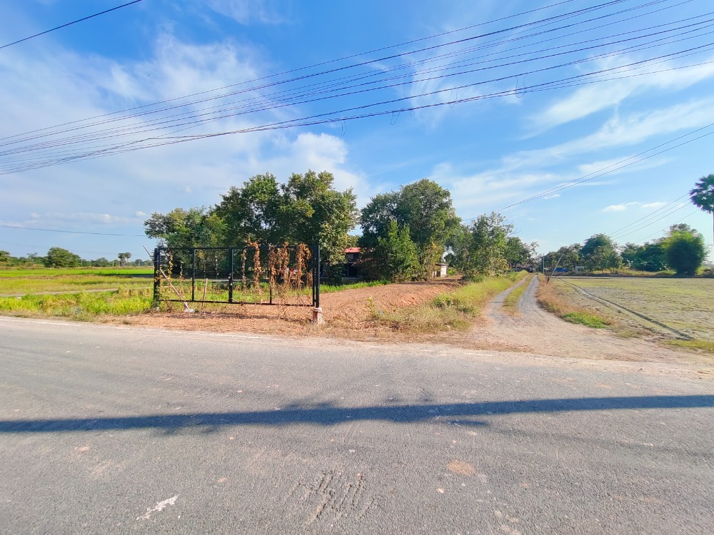 For SaleLandNakhon Nayok : Land in Nakhon Nayok, next to the road, beautiful plot, already filled, area 2 rai 45 wa, plus road 95 sq.wa.