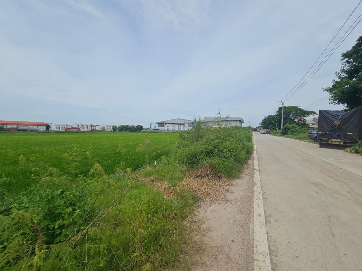 ขายที่ดินปทุมธานี รังสิต ธรรมศาสตร์ : 🚩ขายที่ดินใกล้ตลาดไท #เจ้าของเดียวพร้อมโอน