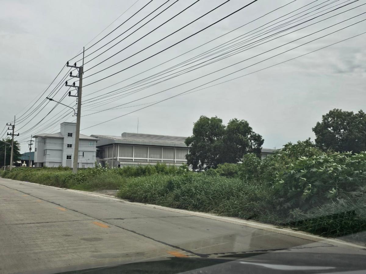 ขายที่ดินปทุมธานี รังสิต ธรรมศาสตร์ : 🚩ขายที่ดินใกล้ตลาดไท #เจ้าของเดียวพร้อมโอน