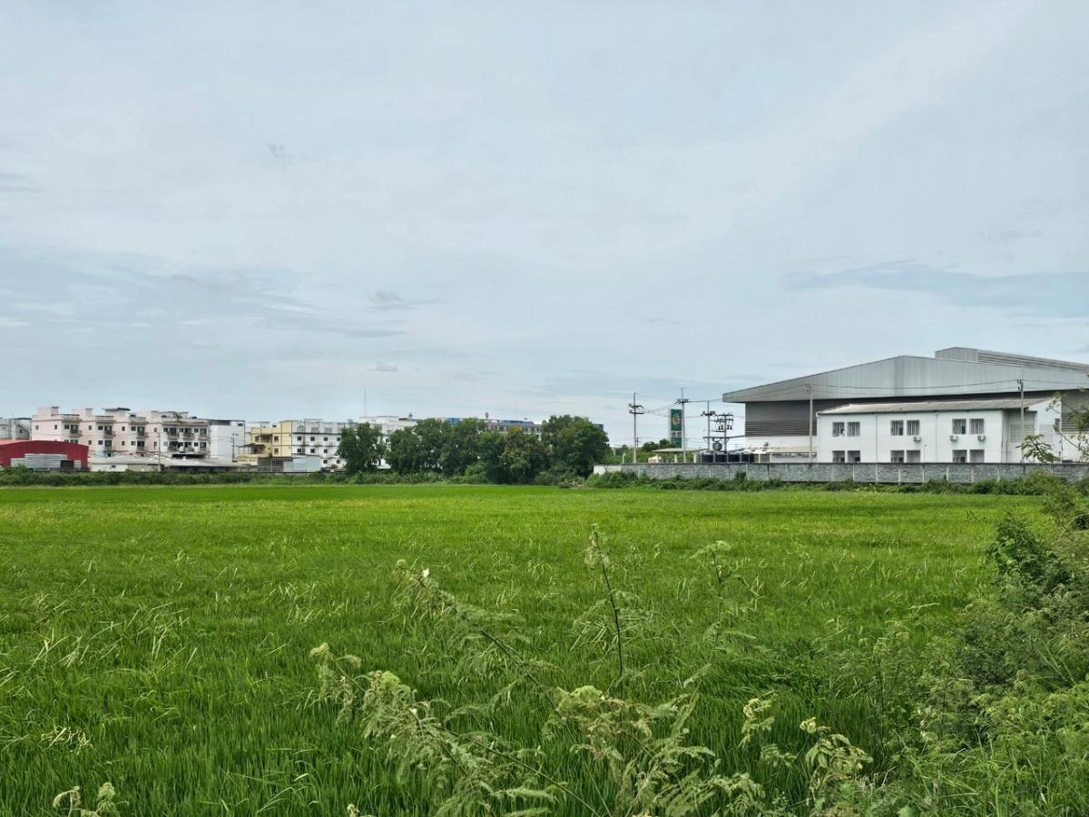 ขายที่ดินปทุมธานี รังสิต ธรรมศาสตร์ : 🚩ขายที่ดินใกล้ตลาดไท #เจ้าของเดียวพร้อมโอน